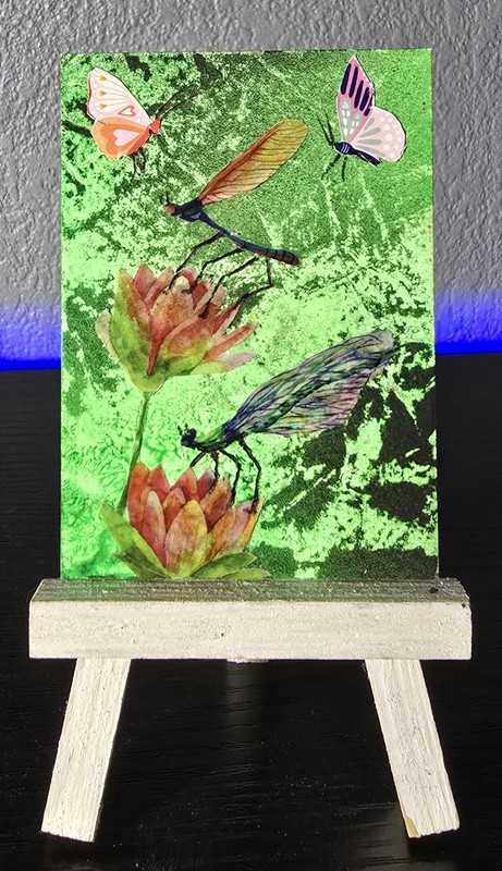 Aceo Original Mixed Media Art Work. Dragon Flies And Butterflies