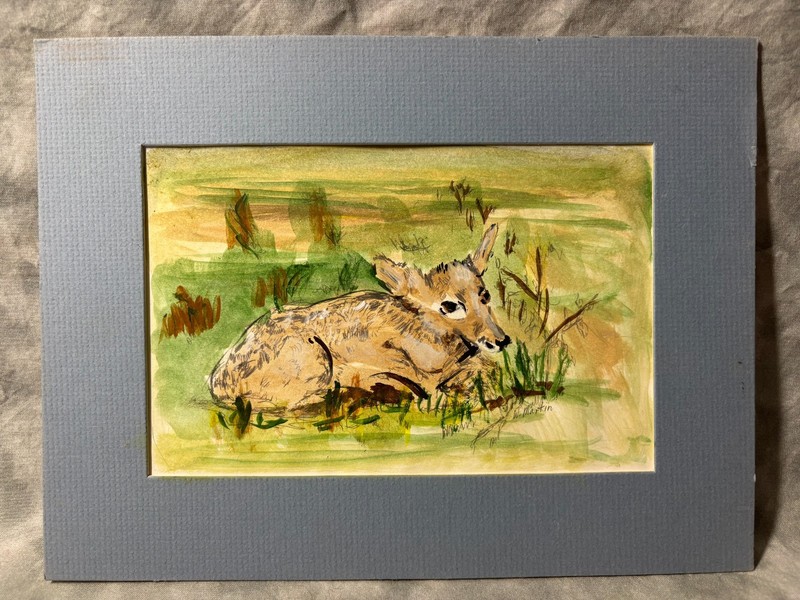 1970s Vtg Signed JL Martin Watercolor Fawn Deer Painting Matted Original 🦌