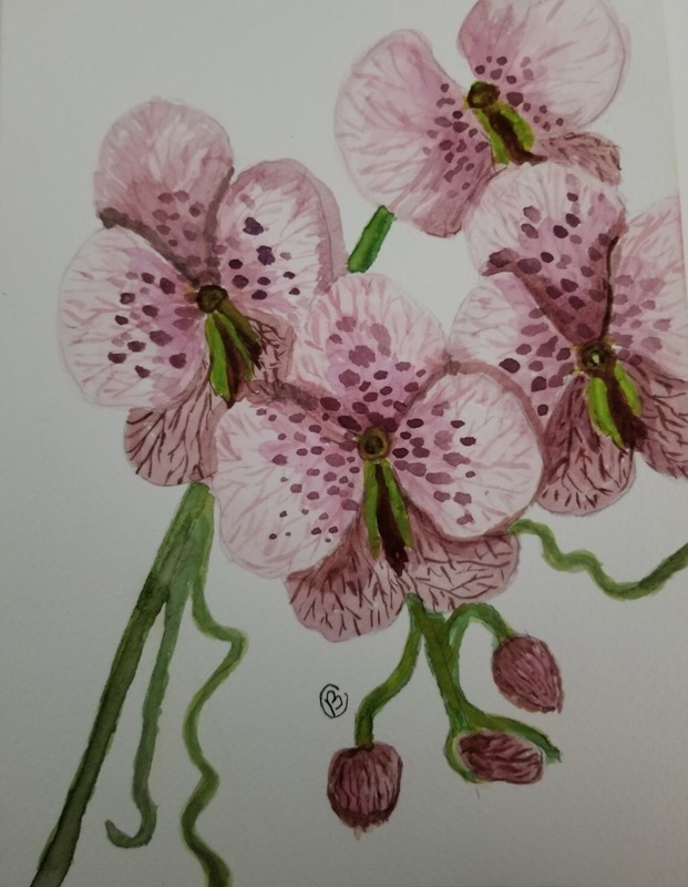 Watercolor painting ORIGINAL art ORCHID flower 7×10″