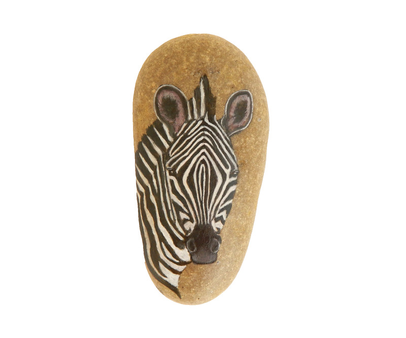 ZEBRA Hand Painted on a Smooth Spanish Beach Rock 5.5 in x 2.5 in