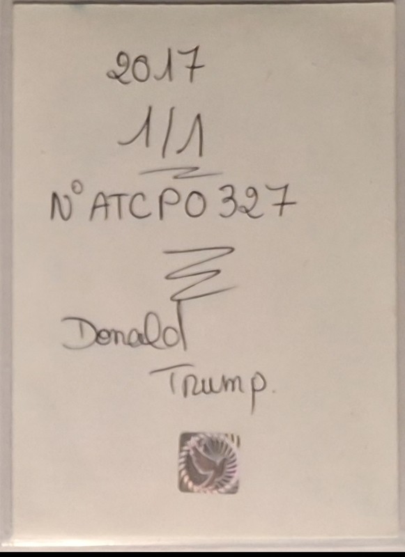 Donald Trump 1/1 Original Art Mini Painting ACEO by artist Nemesea gallery