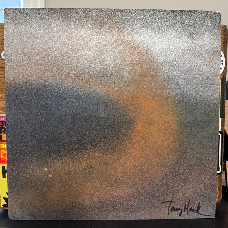 Tony Hawk, Skate Art, 2019, Liquitex Spray Paint on Plywood #27/350
