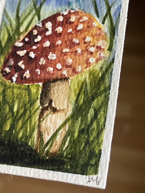 ACEO - Tiny Mushroom watercolor OOAK by H Forrest Signed/Dated gallery