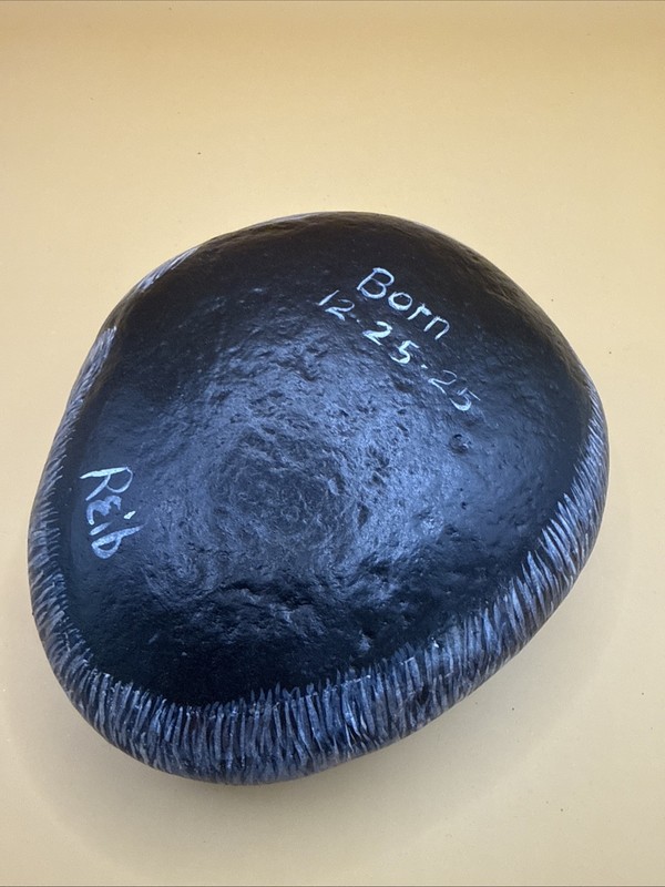 Raccoon Rock Art By Susan Reib. Sm. Doorstop Size. Beautiful For Home Or Office. gallery