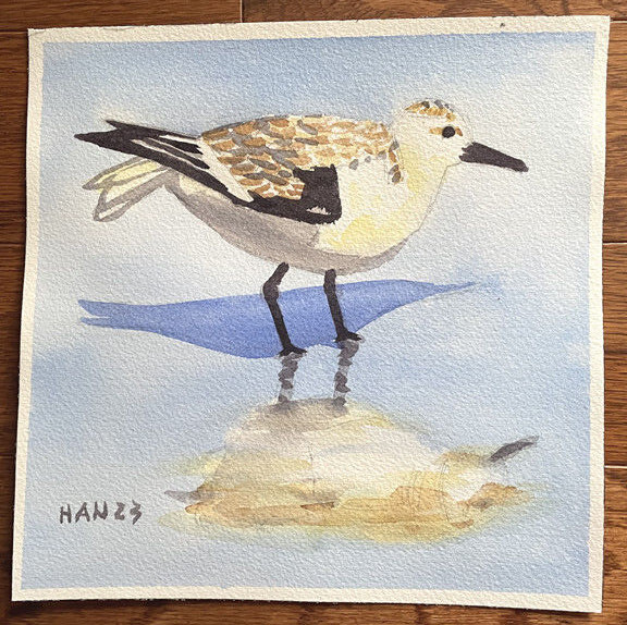 Sandpiper 25, Bird, Nautical, Beach, Original Watercolor Painting, Art, 8×8 inch