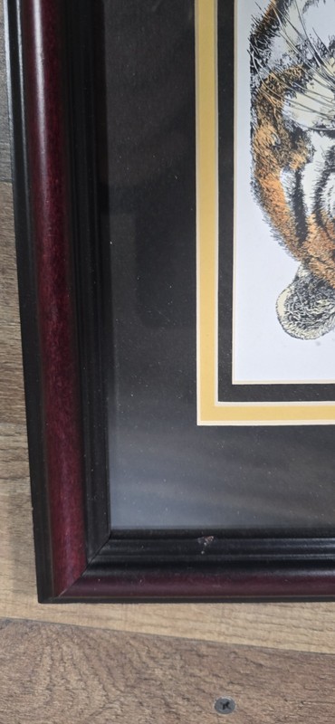 Framed Matted Watercolor Tiger Painting Signed by John Stoeckley gallery