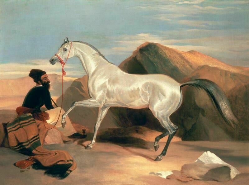 High Quality Handpainted Oil Painting Art man with white horse in desert Arab