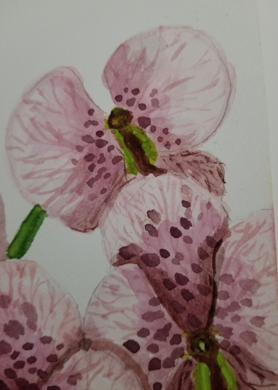 Watercolor painting ORIGINAL art ORCHID flower 7x10" gallery