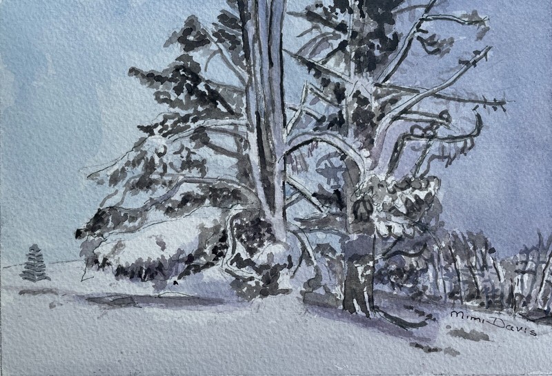 New Zealand, Mackenzie Country Winter/ orig. W/C / 9" x 12"/ Mimi Davis, Artist gallery