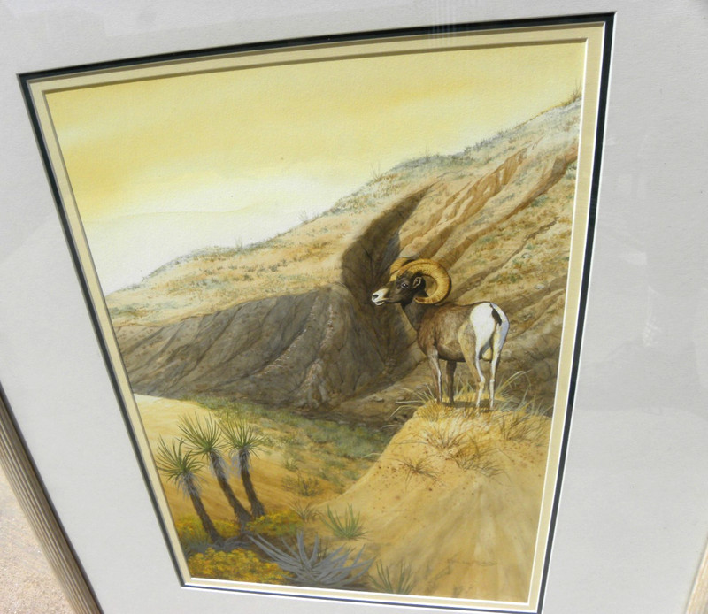 Wildlife art watercolor painting bighorn sheep in landscape by artist Bill Roach