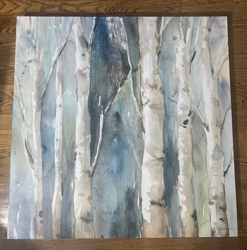 Birch Tree Printed Water Color Canvas Painting