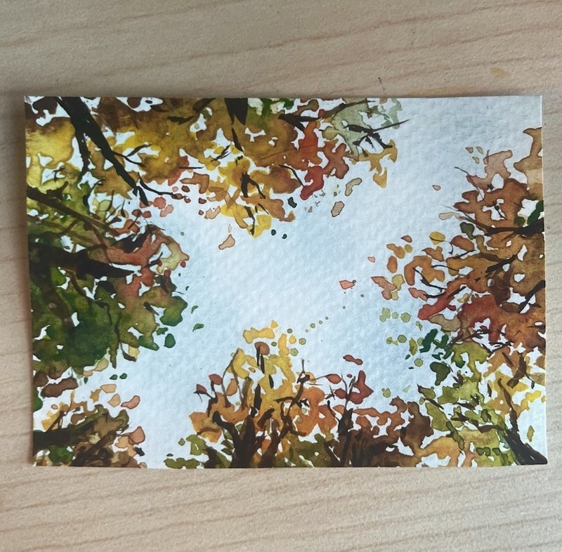 ACEO PRINT Soft Blue Sky Autumn Tree Tops Fall POV Watercolor Painting 3.5×2.5