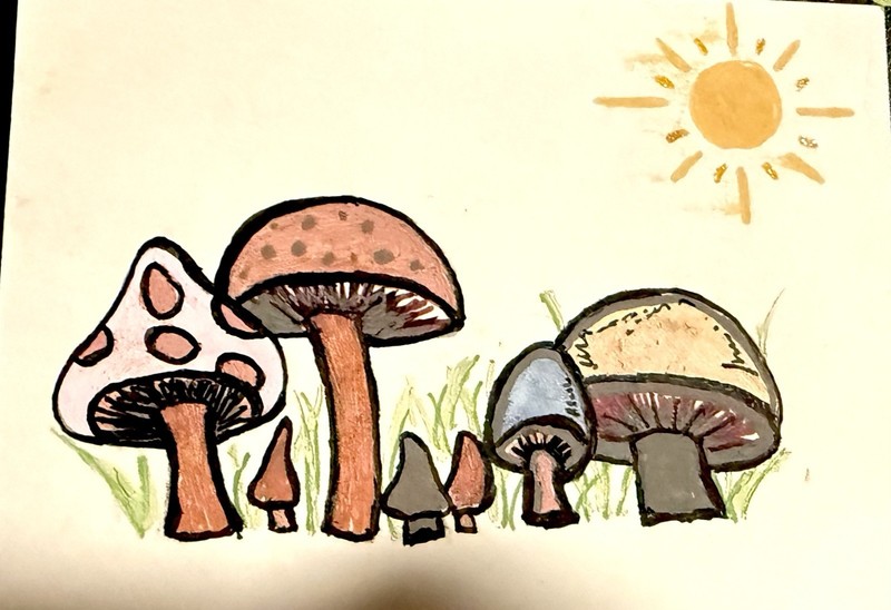 Aceo Art Card Mushroom Landscspe