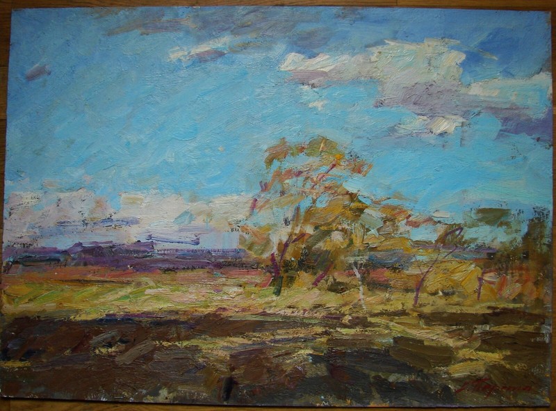 Ukrainian Oil Painting Impressionism Landscape clouds spring sunny day wind