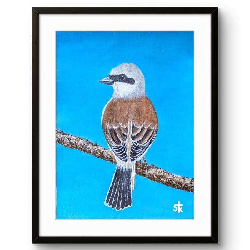 Original Bird Impressionist 12×9 Acrylic Painting Wildlife Home Decor