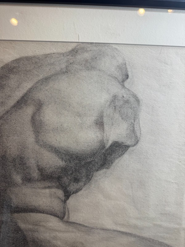 Baltimore School Original Charcoal Anatomical Torso Figure Study Framed Signed gallery