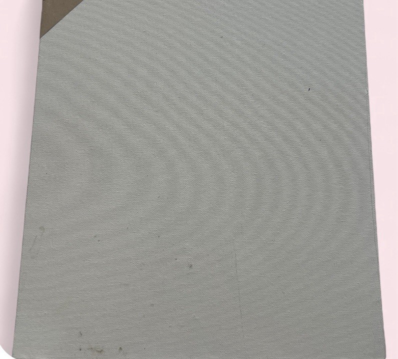 White canvas 11 x 14 sealed medium canvas For Painting