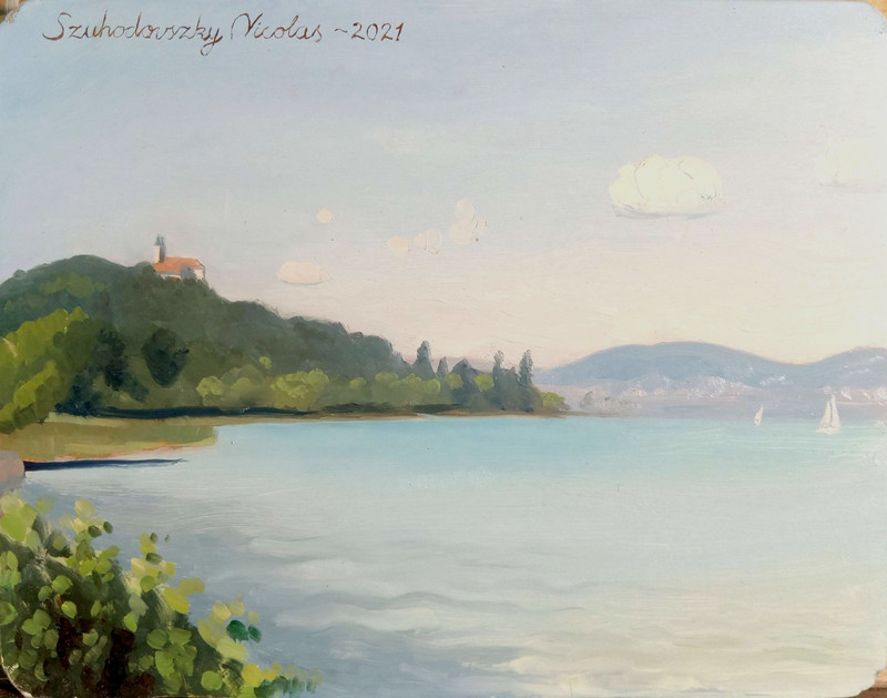 Original Oil Painting Balaton Landscape Contemporary Art 9x11 Canvas gallery