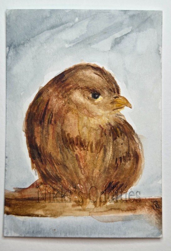 Aceo Original Watercolor art card Brown Small song Bird Wildlife #1 Nikki C