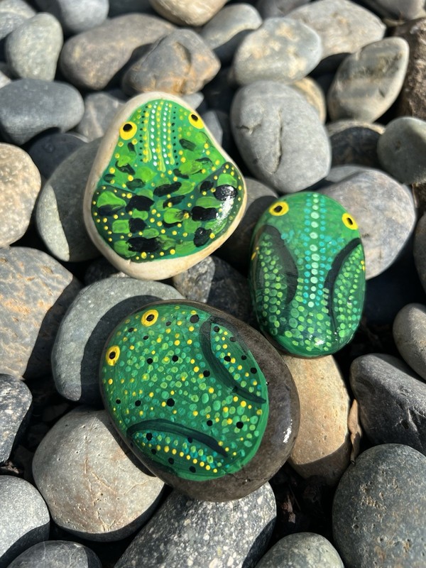 Hand Painted Frog River Rock Original Art Paper Weight Painted Art Gift 3 PCS gallery