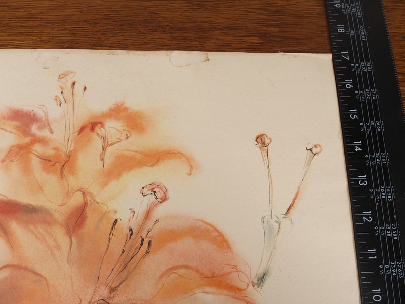 Vintage Abstract Floral Lily Flower Wall Art Watercolor Style Paper 14x17 gallery
