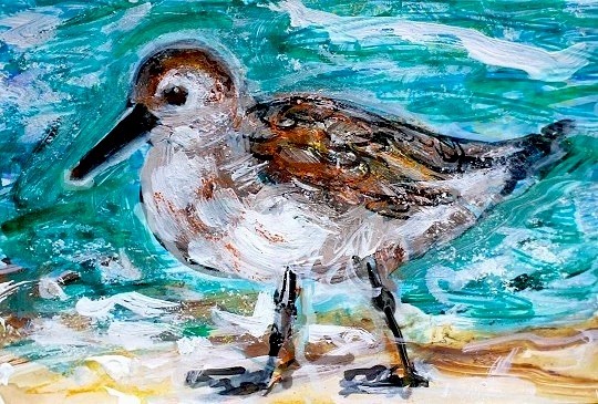 ORIGINAL ACEO Painting SANDERLING Beach Sand Piper OCEAN BIRD Sea Shore ATC ART