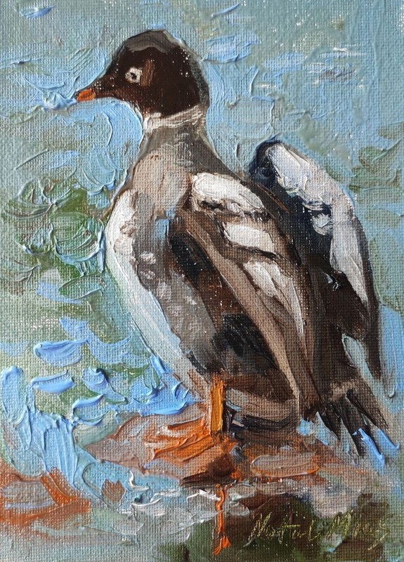 Common goldeneye Original oil painting 5×7» Common Goldeneye Duck Oil Painting,