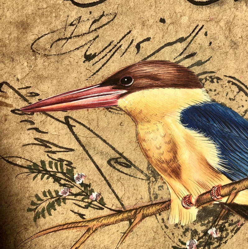 Antique c.1890 Rajput Ragamala Gouache Painting Magnificent Kingfisher