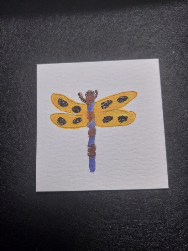 Dragonfly Dollhouse MINIATURE 1:12 Art PICTURE 2x2 inch Hand Painted Painting gallery