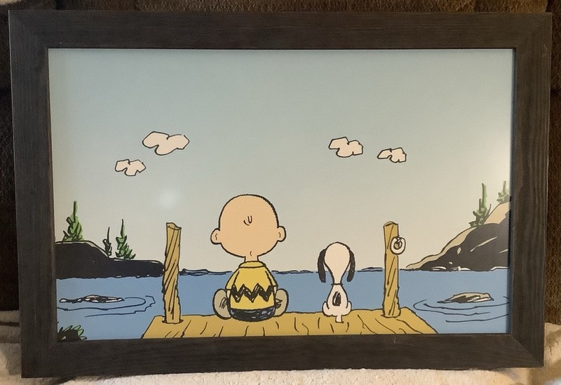 Professionally Framed Charlie Brown & Snoopy For Children’s Room