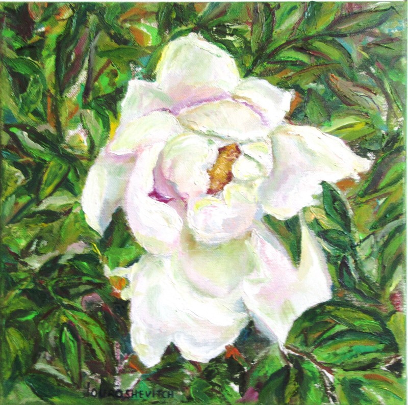 Original Oil Painting PEONY Macro Flower Bloom Blossom Floral Summer Art 12×12”