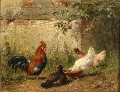 MQ389 Stretched Canvas Frame / Unframed Handmade Roosters Hens Oil Painting