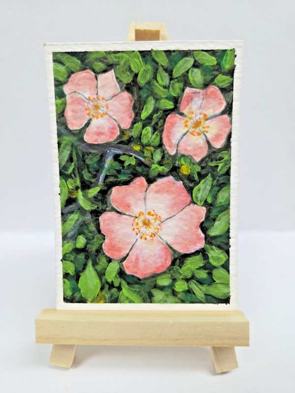 aceo original painting acrylic ATC flowers roses «Dog Rose»