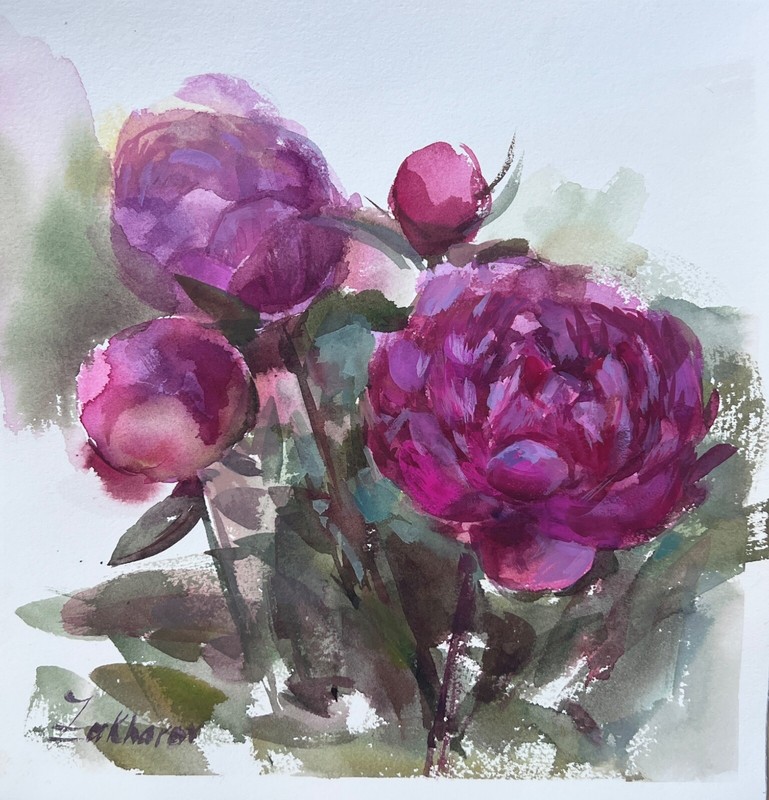 PEONIES – Indiana Nika Zakharov ORIGINAL SIGNED WATERCOLOR Impressionism