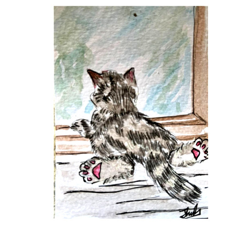 ACEO ART ORIGINAL Acrylic Painting hand CAT signed pet SRI LANKA NEW