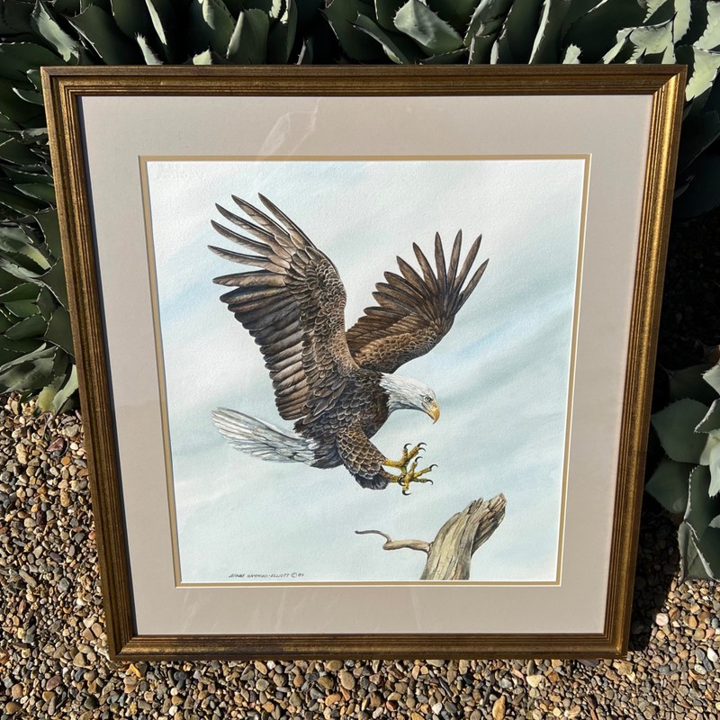 JEANNE HAMMOND-ELLIOTT BALD EAGLE WATERCOLOR PAINTING VINTAGE 1984 OREGON ARTIST