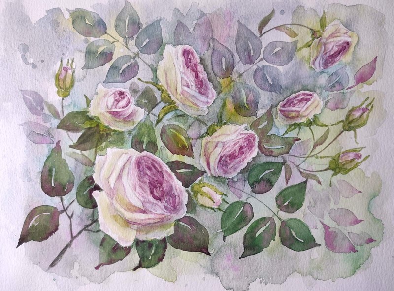 Flowers Original Artwork Painting Garden PINK ROSES Floral Landscape Art Gift A4