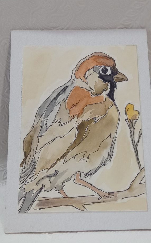 Original Watercolor Bird on Wood Panel 13 x 18 cm ink artwork