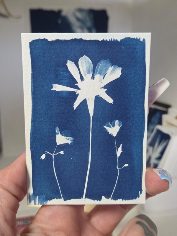 ACEO original cyanotype art mono print «Just the Three of Us»
