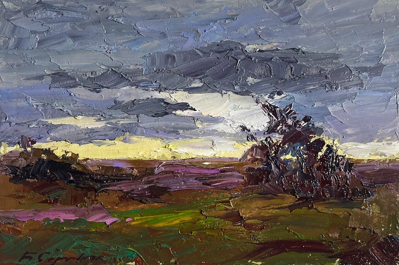 Oil Painting It’s A Nasty Day B. Serdyuk Landscape Unframed Original nAAA3785