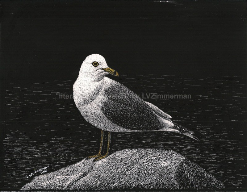A Seagull Taking a Brake -Reg Board 8.5″x11″ Scratch Signed