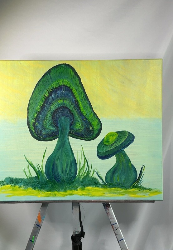 TJ Pitts Original Painting 20x16 Psychedelic Mushroom Fungi Canvas Wall Art gallery