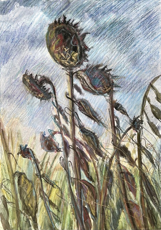 «Sunflowers in autumn» ORIGINAL OIL PASTEL ART Ukraine War Kharkiv