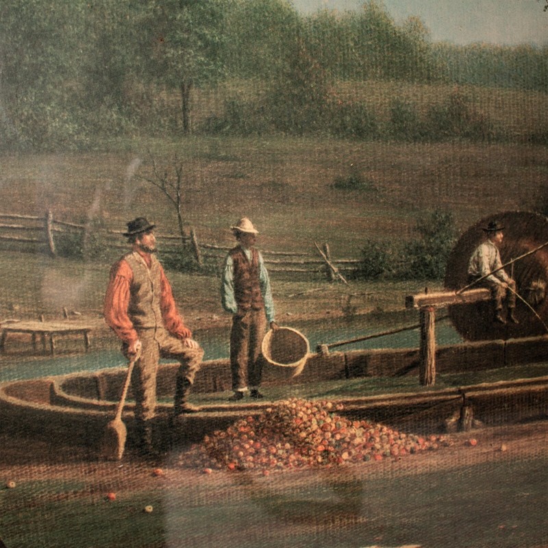 Grandpa 1899’s Amish Apple Cider Scene Antique Litho Painting 46.5″W x 30.5″L