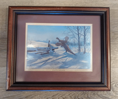 David Maas «Startled Ringneck» Foil Etching Framed Print RARE 1970’s