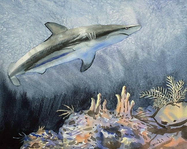 Shark 1, Underwater, Original Watercolor Painting, Nautical, Signed, 20×16 inch