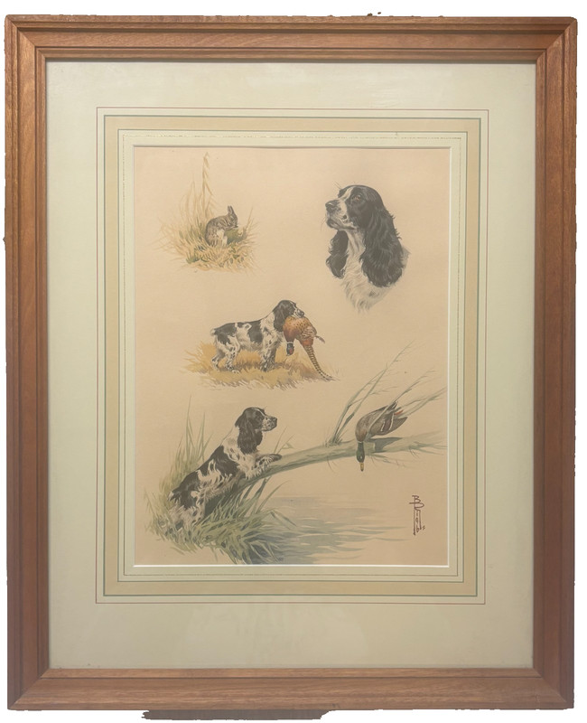 Vintage BORIS RIAB English Springer Spaniel HUNTING DOG Portrait Action PAINTING