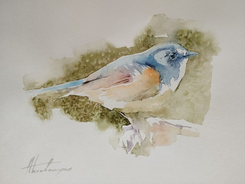 Great Tit, Birds, Watercolor artwork, Handmade, Original painting on paper