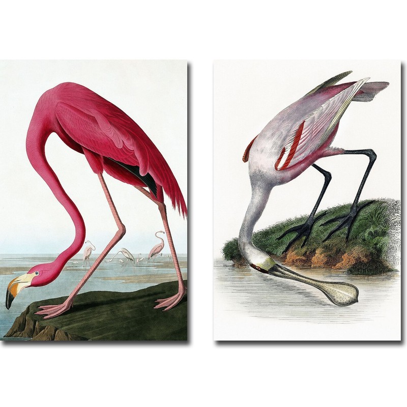 Flamingo & Spoonbill by Incado 2-pc Canvas Giclee Art Set (18 in x 12 in each)