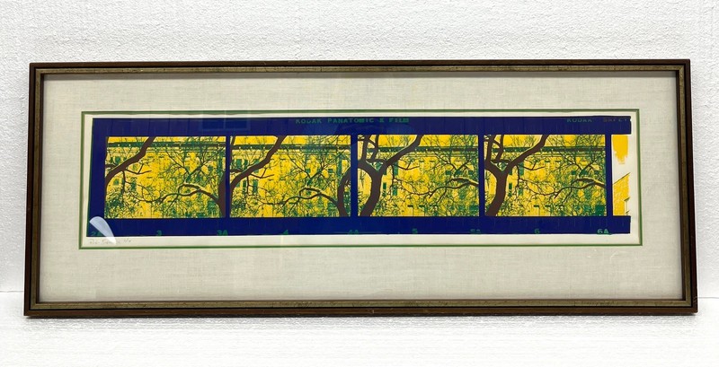 Rob Savage Signed Original Kodak Panatomic X Film Silkscreen Tree Painting #2/18